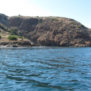 IMG 0662