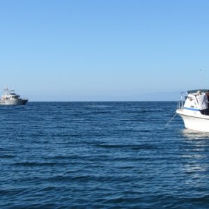 DFG rolling up and launching a tender