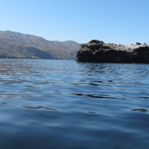 IMG 0652