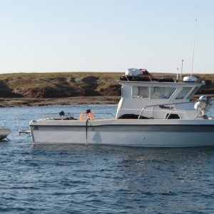 IMG 0704