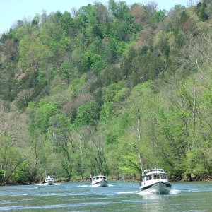Take Me To The River.....Put Me In The Water