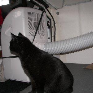Media 'Air intake is in back of unit, so draws from the forward bunk. Has HEPA filter for cat dander,as well as carbon filter for odors.' in album 'Final 12k Btu, removable A/C. SPT brand from Pep Boys @$479. 9k Btu was $379. No drain needed. Clears 65 pts. water/day w/o drain line. Air output can be directed straight up.'