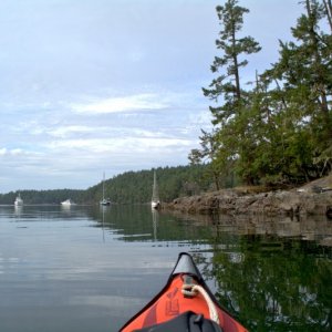 Media 'Paddling around the bay' in album 'Departing Genoa Bay early on a rainy morning'