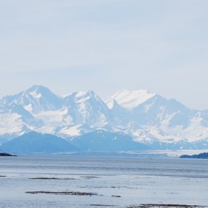 DSC 0205