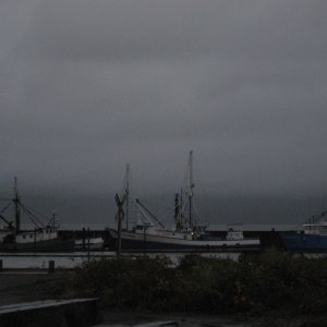 Media 'Rainy day at Astoria' in album 'State park near Warrenton Oregon'