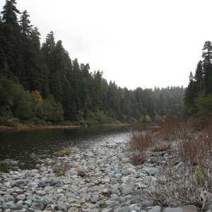 on Umpquah river Oregon