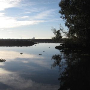 Delta morning calm