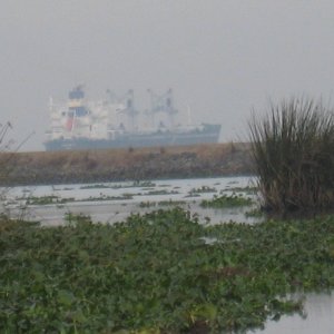 ship on the deep water channel, San Jaquin misty morning