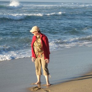 Media 'Pretty beach' in album 'State park near Warrenton Oregon'