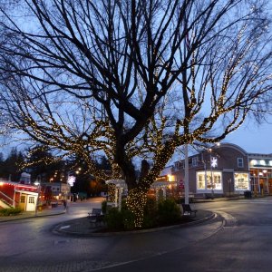 Friday Harbor