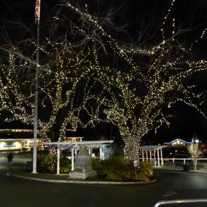 Christmas lights Friday Harbor Dec 2nd