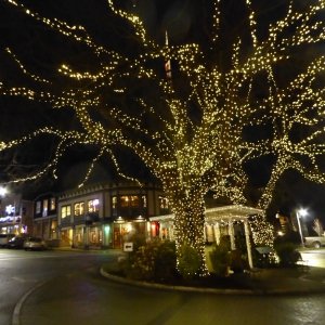 Christmas lights Friday Harbor Dec 2nd