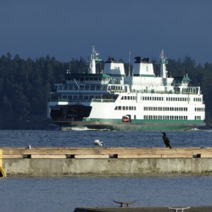 Ferry arriving Sunday morning