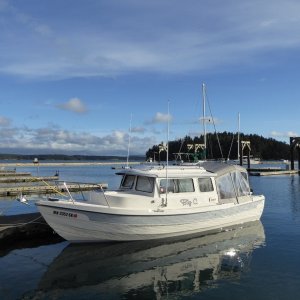 Sunny Sunday in Friday Harbor!