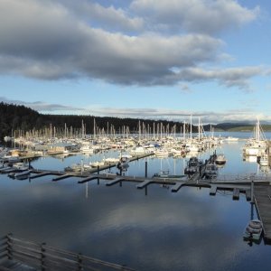 Friday Harbor Sunday afternoon