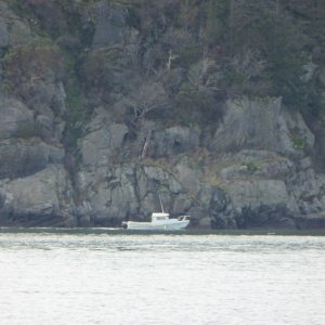 Media 'C-Dory sighting - Angler leaving Cap Sante' in album 'Arrived at marina 2PM on a drizzly Saturday afternoon. But the rain stopped as soon as I left the dock!'