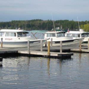 Anxiously awaiting the crews' return from the BK.