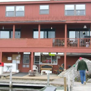 Media '(CTYankee) Y-Landing Marina' in album 'The "dories" awaiting the start of a Winnipesaukee cruise at the Y Landing Marina.'