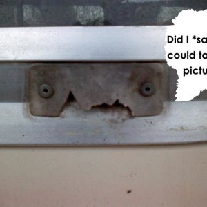Annoyed drain guard