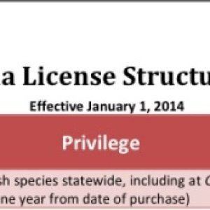 AZ license