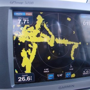 Radar View
