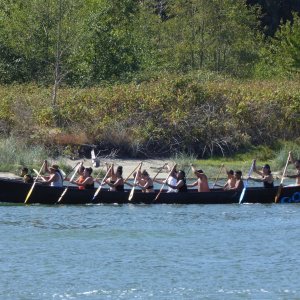 Monday I was treated to a front-row seat to the 2018 Power Paddle to Puyallup. Over 100 canoes, some paddling from as far north as north end of Vancouver island (both inside and outside of island), converging at Tacoma later in the week. Monday night stopping at Swinomish tribe, directly across from LaConner.