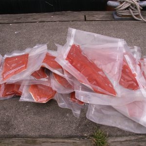 Media 'The Catch - Neah Bay - 8-11-07' in album 'Arch - Cape Flattery - 8-11-07'