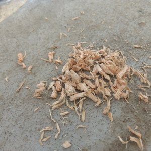 More dry balsa.