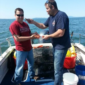 Chad trying to slap me in the face with a prawn...