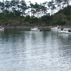 Media 'C-Dorys - Sucia Island  2011' in album 'Don & Dee - Sucia Island - Summer 2011'