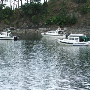 Media 'Fossil Bay 2011' in album 'Don & Dee - Sucia Island - Summer 2011'
