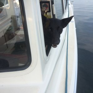 Aug 2018 Eagle Harbor - Dexter