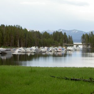 Media 'Bridge Bay Marina, Yellowstone Lake' in album 'Mama Grizz & cubs along road very near Coulter Bay, Jackson Lake on our way to Yellowstone Lake.'