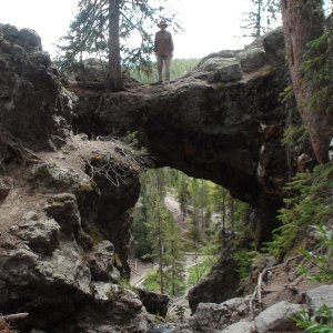 Media 'On the arch' in album 'Mama Grizz & cubs along road very near Coulter Bay, Jackson Lake on our way to Yellowstone Lake.'