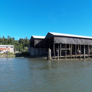 After solving the breakdown problem, the first place that I head is the Hoquiam River.  These are the old dry docks where we roamed as kids.