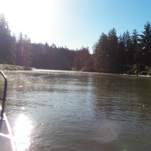 Further upriver was just steamy, swampy mud-banked river.