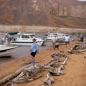 Escalante Arm