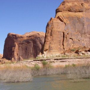 IMGP2974