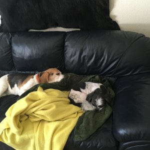 Bodie & Tucker
