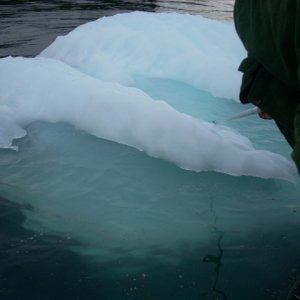 Getting a little ice for the cooler