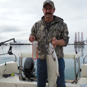 Tim Sturm 3-25-16 Homer AK. Black & White tube fly