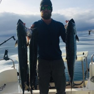 Homer Kings 03/04/19