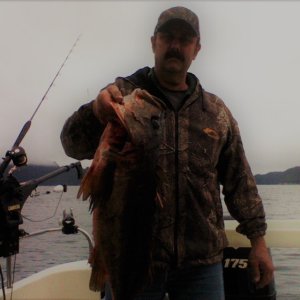 Dusky Rockfish AKA Breakfast!