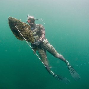 First Halibut Spearfishing