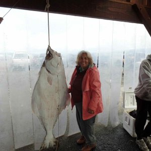 Kim with her "First Alaska fish"  125#'s. She is now ruined for life!