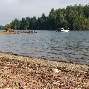 Our anchoring spot for the week in Dodd cove