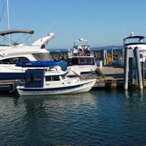We are never the biggest boat at the docks. But we might be the happiest.