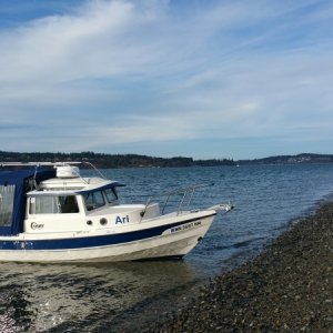 Media 'A little beach time off Chambers Bay golf course' in album '20131228 120922'
