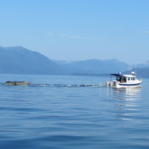 IMG 0496