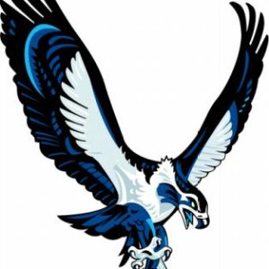 C-Hawk